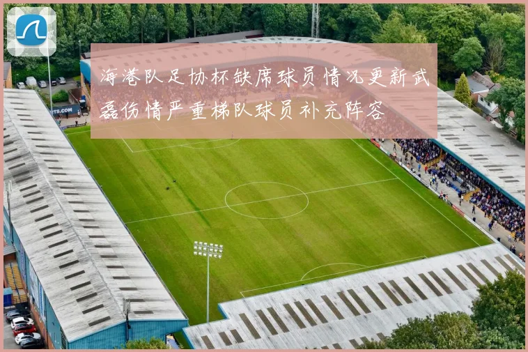 海港队足协杯缺席球员情况更新武磊伤情严重梯队球员补充阵容